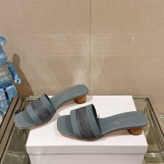 Christian Dior Slippers